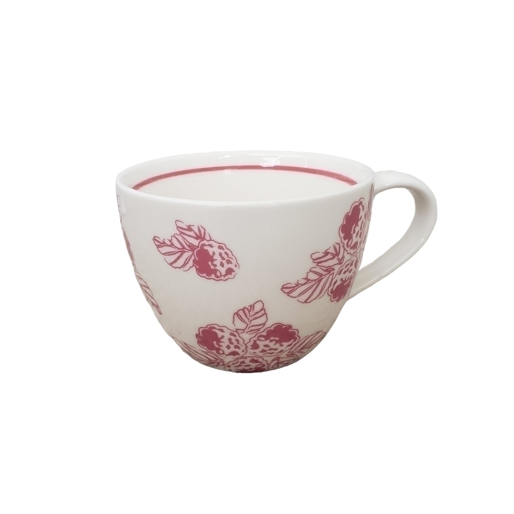 Vintage Starbucks 2007 Coffee Tea Cappuccino Mug White & Pink Raspberries